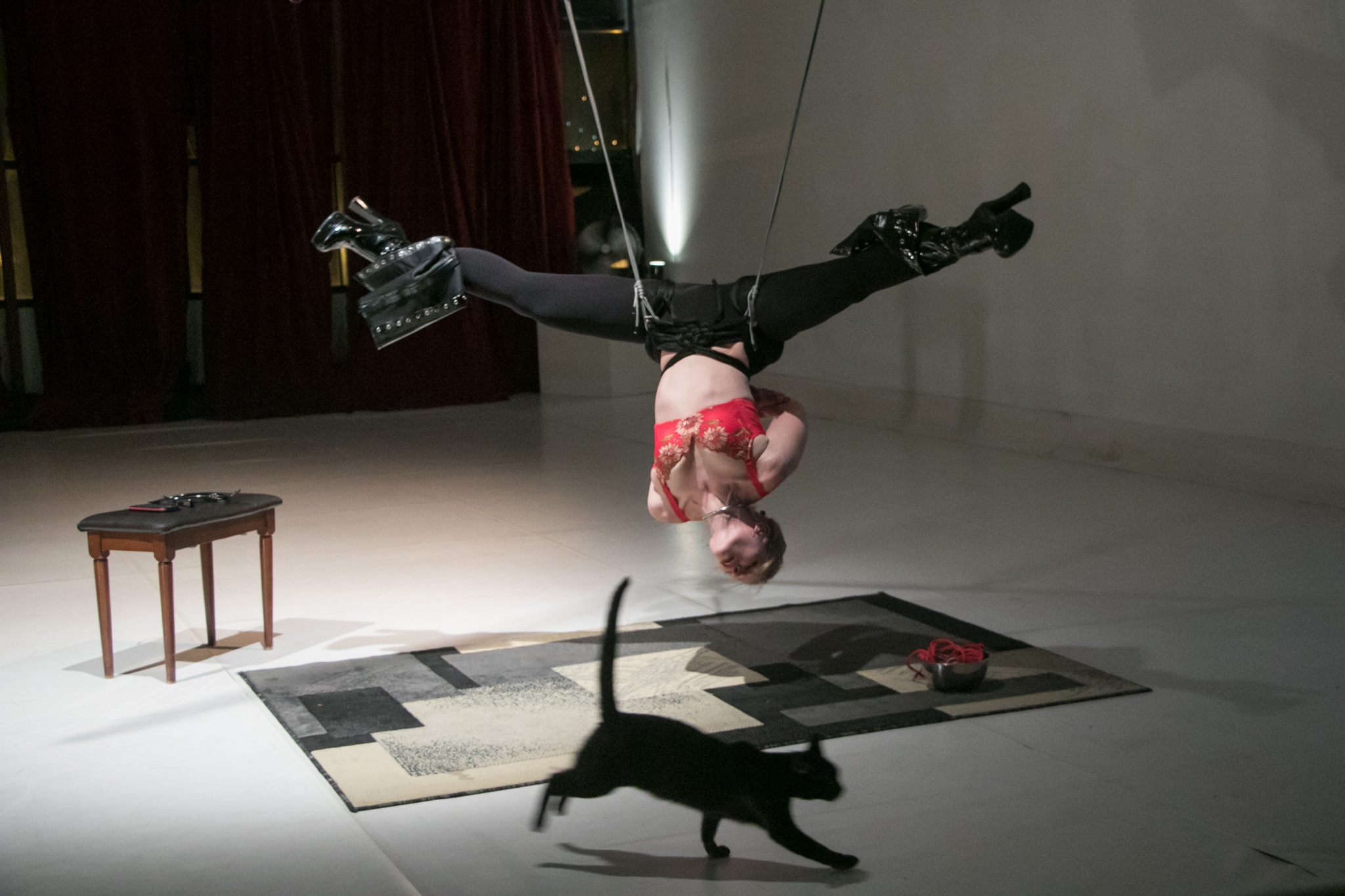 Home — Self-Suspension
